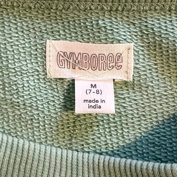 NWT Gymboree Long Sleeve Mint Sweatshirt Girls 7-8 - Picture 3 of 8